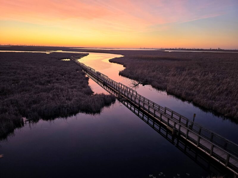 Point Pelee National Park: Where the Canadian Mainland Runs Out, Ten Minutes South of Leamington